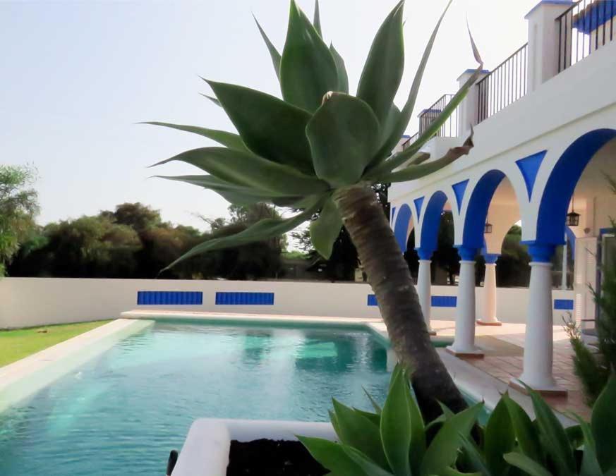 Villa De Lujo En Sancti Petri Novo Sancti Petri Exterior foto